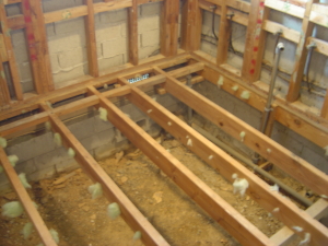 Bathroom Floor joist layout prior to solid nogs being installed