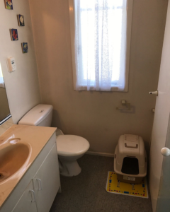 bathroom-for-renovation-south-auckland